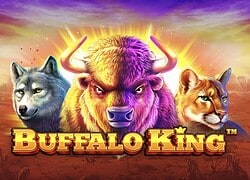 Buffalo King Gxmble Casino Slot  Gxmble Casino Online