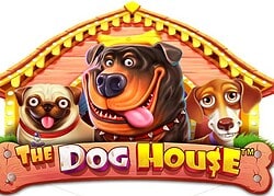 Dog House Gxmble Casino Game  Gxmble Casino Online